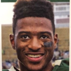 Richard-Higgins-2015